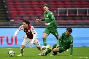 德甲 拜仁慕尼黑VS霍芬海姆-全面分析,比赛数据前瞻